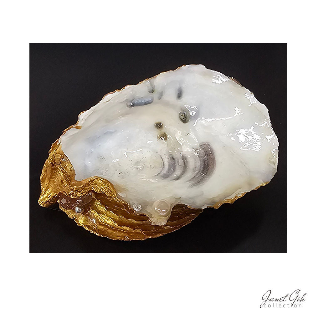 Oyster Elegance - Trinket holders - 10 variations available