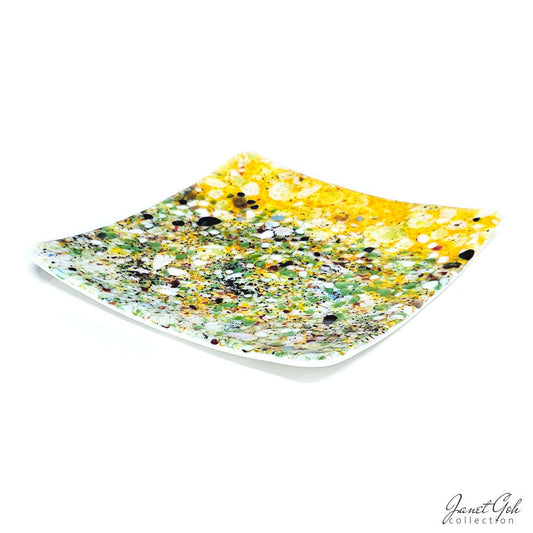Fused Glass Plate - Sunlit Canopy - 8" x 8"