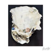 Picture of Oyster Elegance - Trinket holders - 10 variations available