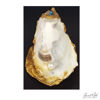 Picture of Oyster Elegance - Trinket holders - 10 variations available