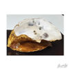 Picture of Oyster Elegance - Trinket holders - 10 variations available